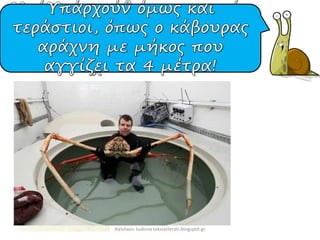 Χατσίκου Ιωάννα taksiasterati.blogspot.gr
 