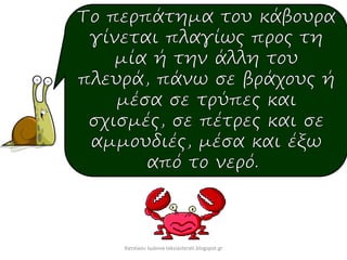 Χατσίκου Ιωάννα taksiasterati.blogspot.gr
 