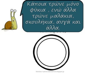 Χατσίκου Ιωάννα taksiasterati.blogspot.gr
 