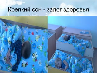 Крепкий сон - залог здоровья
 