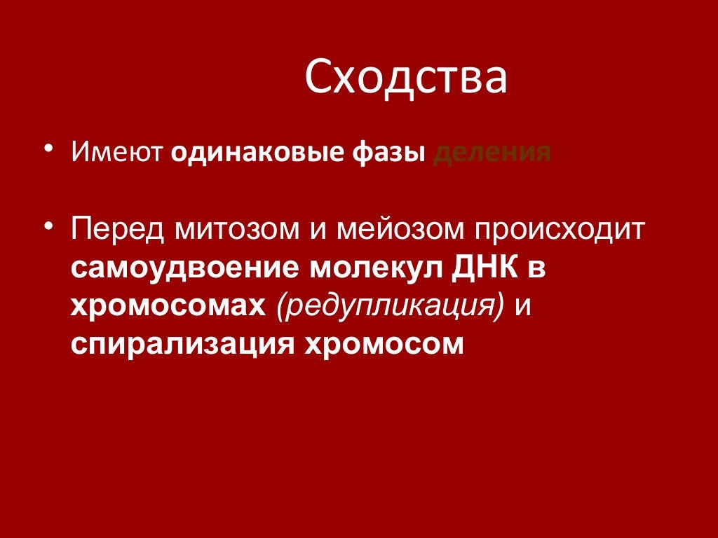 митоз и мейоз