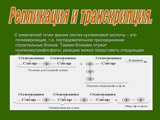С химической точки зрения синтез нуклеиновой кислоты – этоС химической точки зрения синтез нуклеиновой кислоты – это
полимеризация, т.е. последовательное присоединениеполимеризация, т.е. последовательное присоединение
строительных блоков. Такими блоками служатстроительных блоков. Такими блоками служат
нуклеозидтрифосфаты; реакцию можно представить следующимнуклеозидтрифосфаты; реакцию можно представить следующим
образом:образом:
 