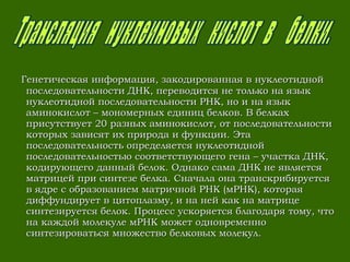 Генетическая информация, закодированная в нуклеотиднойГенетическая информация, закодированная в нуклеотидной
последовательности ДНК, переводится не только на языкпоследовательности ДНК, переводится не только на язык
нуклеотидной последовательности РНК, но и на языкнуклеотидной последовательности РНК, но и на язык
аминокислот – мономерных единиц белков. В белкахаминокислот – мономерных единиц белков. В белках
присутствует 20 разных аминокислот, от последовательностиприсутствует 20 разных аминокислот, от последовательности
которых зависят их природа и функции. Этакоторых зависят их природа и функции. Эта
последовательность определяется нуклеотиднойпоследовательность определяется нуклеотидной
последовательностью соответствующего гена – участка ДНК,последовательностью соответствующего гена – участка ДНК,
кодирующего данный белок. Однако сама ДНК не являетсякодирующего данный белок. Однако сама ДНК не является
матрицей при синтезе белка. Сначала она транскрибируетсяматрицей при синтезе белка. Сначала она транскрибируется
в ядре с образованием матричной РНК (мРНК), котораяв ядре с образованием матричной РНК (мРНК), которая
диффундирует в цитоплазму, и на ней как на матрицедиффундирует в цитоплазму, и на ней как на матрице
синтезируется белок. Процесс ускоряется благодаря тому, чтосинтезируется белок. Процесс ускоряется благодаря тому, что
на каждой молекуле мРНК может одновременнона каждой молекуле мРНК может одновременно
синтезироваться множество белковых молекул.синтезироваться множество белковых молекул.
 