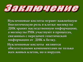 Нуклеиновые кислоты играют важнейшуюНуклеиновые кислоты играют важнейшую
биологическую роль в клетке: молекулыбиологическую роль в клетке: молекулы
ДНК хранят наследственную информацию,ДНК хранят наследственную информацию,
а молекулы РНК участвуют в процессах,а молекулы РНК участвуют в процессах,
связанных с передачей генетическойсвязанных с передачей генетической
информации от ДНК к белку.информации от ДНК к белку.
Нуклеиновые кислоты являютсяНуклеиновые кислоты являются
обязательными компонентами не толькообязательными компонентами не только
всех живых клеток, но и вирусов.всех живых клеток, но и вирусов.
 