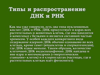 Как мы уже говорили, есть два типа нуклеиновыхКак мы уже говорили, есть два типа нуклеиновых
кислот: ДНК и РНК. ДНК присутствует в ядрах всехкислот: ДНК и РНК. ДНК присутствует в ядрах всех
растительных и животных клеток, где она находитсярастительных и животных клеток, где она находится
в комплексе с белками и является составной частьюв комплексе с белками и является составной частью
хромосом. У особей каждого конкретного видахромосом. У особей каждого конкретного вида
содержание ядерной ДНК обычно одинаково во всехсодержание ядерной ДНК обычно одинаково во всех
клетках, кроме гамет (яйцеклеток и сперматозоидов),клетках, кроме гамет (яйцеклеток и сперматозоидов),
где ДНК вдвое меньше. Таким образом, количествогде ДНК вдвое меньше. Таким образом, количество
клеточной ДНК видоспецифично. ДНК найдена иклеточной ДНК видоспецифично. ДНК найдена и
вне ядра: в митохондриях («энергетическихвне ядра: в митохондриях («энергетических
станциях» клеток) и в хлоропластах (частицах, где встанциях» клеток) и в хлоропластах (частицах, где в
растительных клетках идет фотосинтез).растительных клетках идет фотосинтез).
 