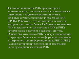Некоторое количество РНК присутствует вНекоторое количество РНК присутствует в
клеточном ядре, основная же ее масса находится вклеточном ядре, основная же ее масса находится в
цитоплазме – жидком содержимом клетки.цитоплазме – жидком содержимом клетки.
Большую ее часть составляет рибосомная РНКБольшую ее часть составляет рибосомная РНК
(рРНК). Рибосомы – это мельчайшие тельца, на(рРНК). Рибосомы – это мельчайшие тельца, на
которых идет синтез белка. Небольшое количествокоторых идет синтез белка. Небольшое количество
РНК представлено транспортной РНК (тРНК),РНК представлено транспортной РНК (тРНК),
которая также участвует в белковом синтезе.которая также участвует в белковом синтезе.
Однако оба этих класса РНК не несут информацииОднако оба этих класса РНК не несут информации
о структуре белков – такая информация заключенао структуре белков – такая информация заключена
в матричной, или информационной, РНК (мРНК),в матричной, или информационной, РНК (мРНК),
на долю которой приходится лишь небольшаяна долю которой приходится лишь небольшая
часть суммарной клеточной РНКчасть суммарной клеточной РНК
 