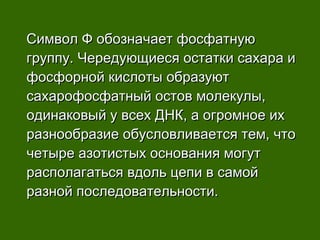Символ Ф обозначает фосфатнуюСимвол Ф обозначает фосфатную
группу. Чередующиеся остатки сахара игруппу. Чередующиеся остатки сахара и
фосфорной кислоты образуютфосфорной кислоты образуют
сахарофосфатный остов молекулы,сахарофосфатный остов молекулы,
одинаковый у всех ДНК, а огромное иходинаковый у всех ДНК, а огромное их
разнообразие обусловливается тем, чторазнообразие обусловливается тем, что
четыре азотистых основания могутчетыре азотистых основания могут
располагаться вдоль цепи в самойрасполагаться вдоль цепи в самой
разной последовательности.разной последовательности.
 