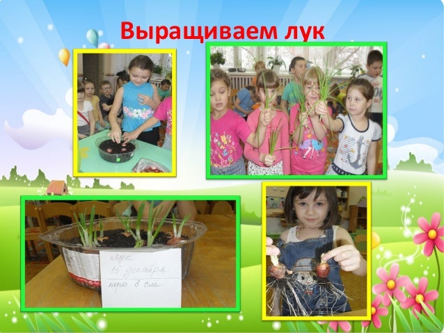 Схемы таблицы модели с алгоритмами Схемы таблицы модели с алгоритмами
