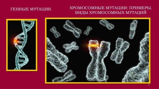 Х хромосома. Хромосомные аберрации. Мутация гена человека. Хромосомные мутации и генные мутации. Генные мутации днк.