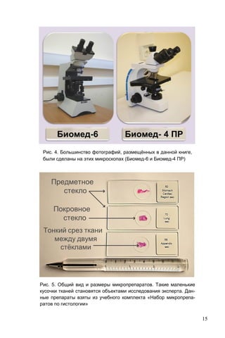 15
Рис. 4. Большинство фотографий, размещённых в данной книге,
были сделаны на этих микроскопах (Биомед-6 и Биомед-4 ПР)
Рис. 5. Общий вид и размеры микропрепаратов. Такие маленькие
кусочки тканей становятся объектами исследования эксперта. Дан-
ные препараты взяты из учебного комплекта «Набор микропрепа-
ратов по гистологии»
 