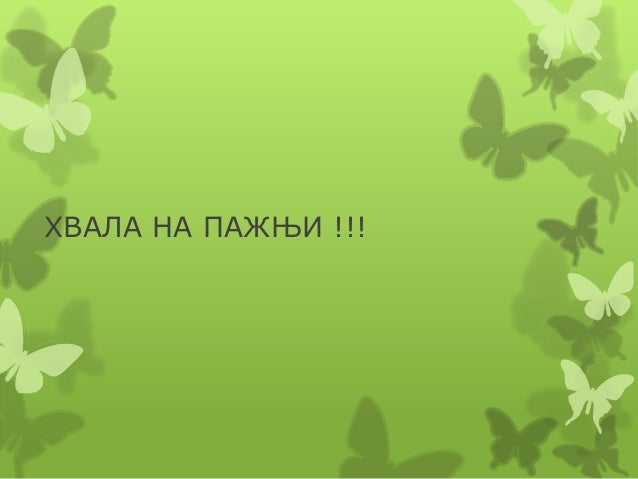 Шуме, Војин Ташић
