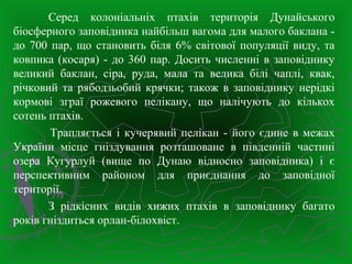 Серед колоніальніх птахів територія Дунайського
біосферного заповідника найбільш вагома для малого баклана -
до 700 пар, що становить біля 6% світової популяції виду, та
ковпика (косаря) - до 360 пар. Досить численні в заповіднику
великий баклан, сіра, руда, мала та велика білі чаплі, квак,
річковий та рябодзьобий крячки; також в заповіднику нерідкі
кормові зграї рожевого пелікану, що налічують до кількох
сотень птахів.
Трапляється і кучерявий пелікан - його єдине в межах
України місце гніздування розташоване в південній частині
озера Кугурлуй (вище по Дунаю відносно заповідника) і є
перспективним районом для приєднання до заповідної
території.
З рідкісних видів хижих птахів в заповіднику багато
років гніздиться орлан-білохвіст.
 
