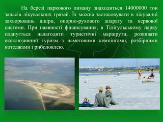 На березі паркового лиману знаходиться 14000000 тон
запасів лікувальних грязей. Їх можна застосовувати в лікуванні
захворювань шкіри, опорно-рухового апарату та нервової
системи. При наявності фінансування, в Тілігульському парку
планується налагодити туристичні маршрути, розвивати
ексклюзивний туризм з наметовими кемпінгами, розбірними
котеджами і риболовлею.
 