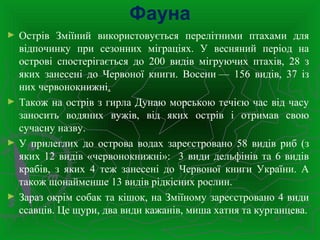 Фауна
► Острів Зміїний використовується перелітними птахами для
відпочинку при сезонних міграціях. У весняний період на
острові спостерігається до 200 видів мігруючих птахів, 28 з
яких занесені до Червоної книги. Восени — 156 видів, 37 із
них червонокнижні.
► Також на острів з гирла Дунаю морською течією час від часу
заносить водяних вужів, від яких острів і отримав свою
сучасну назву.
► У прилеглих до острова водах зареєстровано 58 видів риб (з
яких 12 видів «червонокнижні»: 3 види дельфінів та 6 видів
крабів, з яких 4 теж занесені до Червоної книги України. А
також щонайменше 13 видів рідкісних рослин.
► Зараз окрім собак та кішок, на Зміїному зареєстровано 4 види
ссавців. Це щури, два види кажанів, миша хатня та курганцева.
 