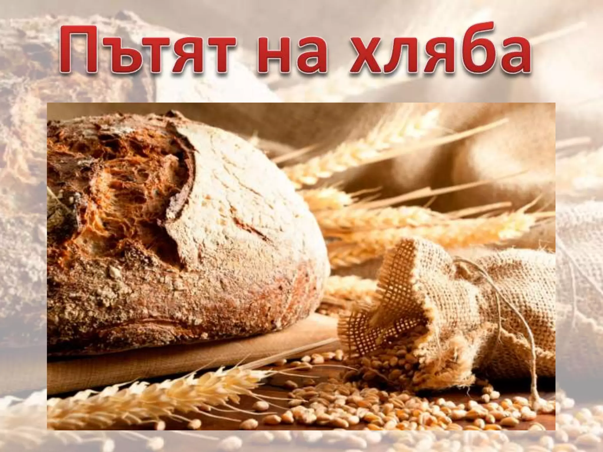 Пътят на хляба | PPT