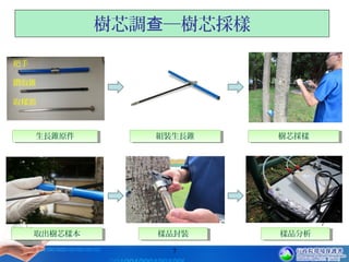 7
7
生長錐原件生長錐原件
樣品封裝樣品封裝
樹芯調 ─樹芯採樣查
組裝生長錐組裝生長錐 樹芯採樣樹芯採樣
取出樹芯樣本取出樹芯樣本
把手
鑽取錐
取樣器
樣品分析樣品分析
 