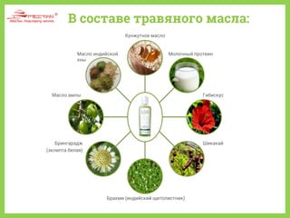 В составе травяного масла:
Кунжутное масло
Масло индийской
хны
Молочный протеин
Масло амлы
Брингарадж
(эклипта белая)
Брахми (индийский щитолистник)
Гибискус
Шикакай
 