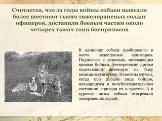 В одиночку собаки пробирались в
места недоступные санитарам.
Подползая к раненым, истекающим
кровью бойцам, четвероногие друзья
подставляли висевшую на боку
медицинскую сумку. Известны случаи,
когда псы лизали лица бойцов,
находящихся в полубессознательном
состоянии, приводя их в чувство. А в
суровые зимы собаки отогревали
замерзавших людей.
Считается, что за годы войны собаки вывезли
более шестисот тысяч тяжелораненых солдат
офицеров, доставили боевым частям около
четырех тысяч тонн боеприпасов
 