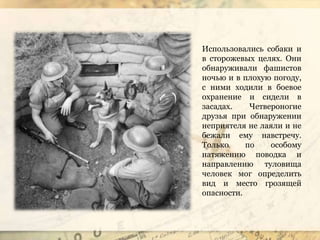 Использовались собаки и
в сторожевых целях. Они
обнаруживали фашистов
ночью и в плохую погоду,
с ними ходили в боевое
охранение и сидели в
засадах. Четвероногие
друзья при обнаружении
неприятеля не лаяли и не
бежали ему навстречу.
Только по особому
натяжению поводка и
направлению туловища
человек мог определить
вид и место грозящей
опасности.
 