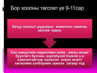 хооллох,зажлах,залгих үйл | PPT