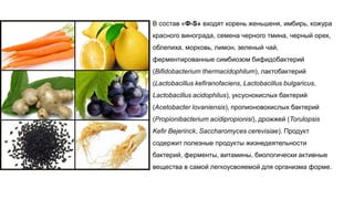 В состав «Ф-S» входят корень женьшеня, имбирь, кожура
красного винограда, семена черного тмина, черный орех,
облепиха, морковь, лимон, зеленый чай,
ферментированные симбиозом бифидобактерий
(Bifidobacterium thermacidophilum), лактобактерий
(Lactobacillus kefiranofaciens, Lactobacillus bulgaricus,
Lactobacillus acidophilus), уксуснокислых бактерий
(Acetobacter lovaniensis), пропионовокислых бактерий
(Propionibacterium acidipropionisi), дрожжей (Torulopsis
Kefir Bejerinck, Saccharomyces cerevisiae). Продукт
содержит полезные продукты жизнедеятельности
бактерий, ферменты, витамины, биологически активные
вещества в самой легкоусвояемой для организма форме.
 