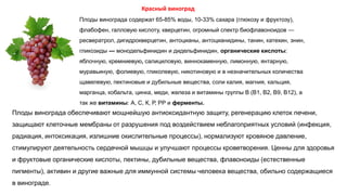 Красный виноград
Плоды винограда содержат 65-85% воды, 10-33% сахара (глюкозу и фруктозу),
флабофен, галловую кислоту, кверцетин, огромный спектр биофлавоноидов —
ресвератрол, дигидрокверцетин, антоцианы, антоцианидины, танин, катехин, энин,
гликозиды — монодельфинидин и дидельфинидин, органические кислоты:
яблочную, кремниевую, салициловую, виннокаменную, лимонную, янтарную,
муравьиную, фолиевую, гликолевую, никотиновую и в незначительных количества
щавелевую, пектиновые и дубильные вещества, соли калия, магния, кальция,
марганца, кобальта, цинка, меди, железа и витамины группы В (В1, В2, В9, В12), а
так же витамины: А, С, К, Р, РР и ферменты.
Плоды винограда обеспечивают мощнейшую антиоксидантную защиту, регенерацию клеток печени,
защищают клеточные мембраны от разрушения под воздействием неблагоприятных условий (инфекция,
радиация, интоксикация, излишние окислительные процессы), нормализуют кровяное давление,
стимулируют деятельность сердечной мышцы и улучшают процессы кроветворения. Ценны для здоровья
и фруктовые органические кислоты, пектины, дубильные вещества, флавоноиды (естественные
пигменты), активин и другие важные для иммунной системы человека вещества, обильно содержащиеся
в винограде.
 