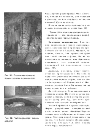 Рис. 91. Подземная пещера с
искусственным освещением
Рис. 92. Гриб прорастает сквозь
асфальт
Соль просто растворится. Она, конеч­
но, никуда не исчезнет, она перейдет
в раствор, но как это будет выглядеть
внешне? Соль исчезнет.
В слоях таких пород появляются пу­
стоты, промоины, пещеры (рис. 91).
Таким образом: химическое выве­
тривание — это разрушение водой
растворимых горных пород.
Биогенное выветривание. Биоген­
ное выветривание менее распростра­
нено, хотя привести примеры его про­
явления не так и с л о ж н о . Многие, на­
верное, видели, как прорастает трава
или грибы сквозь асфальт. Их же не­
возможно остановить, они буквально
взламывают этот п р о ч н ы й п о к р о в ,
у л о ж е н н ы й на п о в е р х н о с т ь земли
(рис. 92)
Асфальт, конечно, имеет искус­
ственное происхождение. Но если на
пути этих растений оказались бы слои
природных горных пород, они не ста­
ли бы прорастать? Побоялись бы? Нет,
горные породы были бы точно так же
разрушены, как и асфальт.
Другой пример. Семечко попадает в
трещину скалы. Из этого семечка вы­
растет деревце, корни которого разру­
шают скалу (рис. 93). Это тоже про­
явление биогенного выветривания.
Можно привести и другие примеры.
Черви разрыхляют поверхностный
слой земной коры. Ласточки-берего­
вушки роют в обрывистых берегах рек
норы. Этих нор порой оказывается так
много, что берег просто обваливается.
Х о р о ш и е примеры? А сами можете
что-нибудь вспомнить?
 