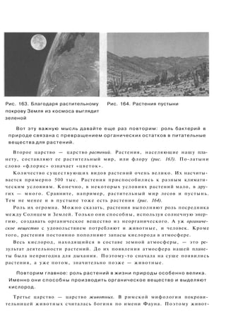 Рис. 163. Благодаря растительному Рис. 164. Растения пустыни
покрову Земля из космоса выглядит
зеленой
Вот эту важную мысль давайте еще раз повторим: роль бактерий в
природе связана с превращением органических остатков в питательные
вещества для растений.
Второе царство — царство растений. Растения, населяющие нашу пла­
нету, составляют ее растительный мир, или флору (рис. 163). По-латыни
слово «флорис» означает «цветок».
Количество существующих видов растений очень велико. Их насчиты­
вается примерно 500 тыс. Растения приспособились к разным климати­
ческим условиям. Конечно, в некоторых условиях растений мало, в дру­
гих — много. Сравните, например, растительный мир лесов и пустынь.
Тем не менее и в пустыне тоже есть растения (рис. 164).
Роль их огромна. Можно сказать, растения выполняют роль посредника
между Солнцем и Землей. Только они способны, используя солнечную энер­
гию, создавать органическое вещество из неорганического. А уж органиче­
ское вещество с удовольствием потребляют и животные, и человек. Кроме
того, растения постоянно пополняют запасы кислорода в атмосфере.
Весь кислород, находящийся в составе земной атмосферы, — это ре­
зультат деятельности растений. До их появления атмосфера нашей плане­
ты была непригодна для дыхания. Поэтому-то сначала на суше появились
растения, а уже потом, значительно позже — животные.
Повторим главное: роль растений в жизни природы особенно велика.
Именно они способны производить органическое вещество и выделяют
кислород.
Третье царство — царство животных. В римской мифологии покрови­
тельницей животных считалась богиня по имени Фауна. Поэтому живот-
 