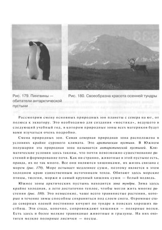 Рассмотрим смену основных природных зон планеты с севера на юг, от
полюса к экватору. Это необходимо для создания «мостика», ведущего в
следующий учебный год, в котором природные зоны всех материков будут
вами изучаться очень подробно.
Смена природных зон. Самая северная природная зона расположена в
условиях крайне сурового климата. Это арктическая пустыня. В Южном
полушарии эта природная зона называется антарктической пустыней. Кли­
матические условия здесь таковы, что почти невозможно существование ра­
стений и формирование почв. Как ни странно, животные в этой пустыне есть,
правда, их не так много. Все они являются хищниками, их жизнь связана с
морем (рис. 179). Море остывает медленнее суши, поэтому является в этом
холодном краю единственным источником тепла. Обитают здесь морские
птицы, тюлени, моржи и самый крупный хищник суши — белый медведь.
Южнее зоны арктических пустынь находится зона тундры. Зима здесь
крайне холодная, а лето достаточно теплое, чтобы могли жить многие ра­
стения (рис. 180). Это невысокие, чаще всего травянистые растения, кото­
рые в течение зимы способны сохраниться под слоем снега. Огромные ста­
да северных оленей постоянно кочуют по тундре в поисках хороших па­
стбищ. Эти стада, конечно, сопровождают хищники — полярные волки.
Есть здесь и более мелкие травоядные животные и грызуны. На них охо­
тятся мелкие полярные лисички — песцы.
 
