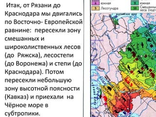 Итак, от Рязани до
Краснодара мы двигались
по Восточно- Европейской
равнине: пересекли зону
смешанных и
широколиственных лесов
(до Ряжска), лесостепи
(до Воронежа) и степи (до
Краснодара). Потом
пересекли небольшую
зону высотной поясности
(Кавказ) и приехали на
Чёрное море в
субтропики.
 
