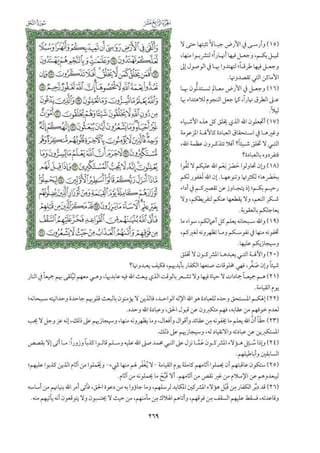  تفسير الجزء الرابع عشر من القرآن / تفسير الميسر 