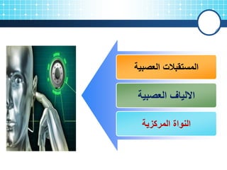 ‫العصبٌة‬ ‫المستمبالت‬
‫العصبٌة‬ ‫االلٌاف‬
‫المركزٌة‬ ‫النواة‬
 