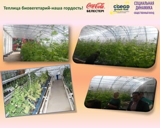 Теплица биовегетарий-наша гордость!
 
