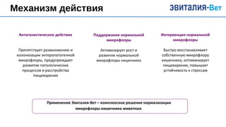 Механизм действия
Антагонистическое действие
Препятствует размножению и
колонизации энтеропатогенной
микрофлоры, предупреждает
развитие патологических
процессов и расстройства
пищеварения
Поддержание нормальной
микрофлоры
Активизирует рост и
развитие нормальной
микрофлоры кишечника
Интервенция нормальной
микрофлоры
быстро восстанавливает
собственную микрофлору
кишечника, оптимизирует
пищеварение, повышает
устойчивость к стрессам
Применение Эвиталия-Вет – комплексное решение нормализации
микрофлоры кишечника животных
 