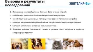 Выводы и результаты
исследований
1. Применение кормовой добавки Эвиталия-Вет в течение 14 дней:
• способствует развитию собственной нормальной микрофлоры
• способствует уменьшению или полному исчезновению патогенных микробов
• приводит нарушенный микробный пейзаж к нормальному «здоровому» профилю
• улучшает клиническое состояние больных животных
2. Кормовая добавка Эвиталия-Вет может с успехом быть внедрена в широкую
ветеринарную практику
 