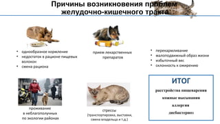 • однообразное кормление
• недостаток в рационе пищевых
волокон
• смена рациона
проживание
в неблагополучных
по экологии районах
прием лекарственных
препаратов
• перекармливание
• малоподвижный образ жизни
• избыточный вес
• склонность к ожирению
стрессы
(транспортировка, выставки,
смена владельца и т.д.)
ИТОГ
расстройства пищеварения
кожные высыпания
аллергия
дисбактериоз
Причины возникновения проблем
желудочно-кишечного тракта
 