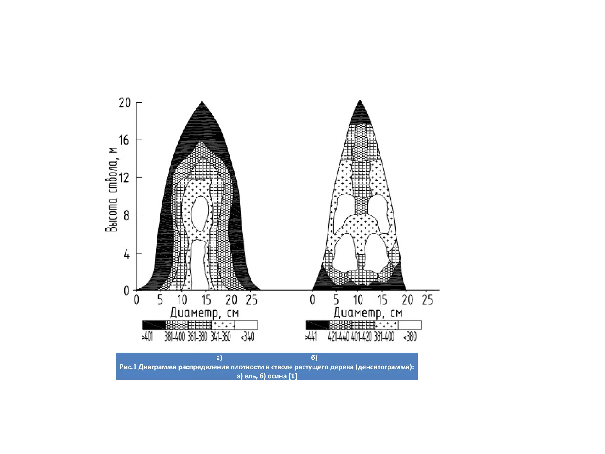 а) б)
Рис.1 Диаграмма распределения плотности в стволе растущего дерева (денситограмма):
а) ель, б) осина [1]
 