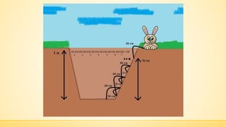 IT Talks The approach for solving impossible tasks (dynamic programming)