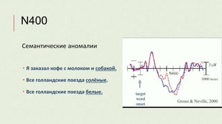 N400
Семантические аномалии
 Я заказал кофе с молоком и собакой.
 Все голландские поезда солёные.
 Все голландские поезда белые.
 