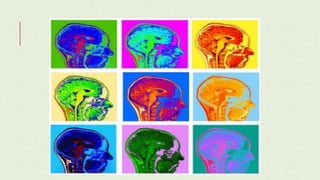 разнообразие экспериментальной лингвистики