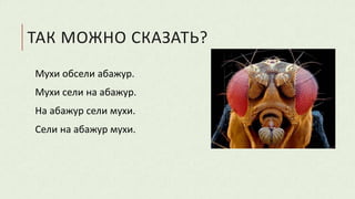 ТАК МОЖНО СКАЗАТЬ?
Мухи обсели абажур.
Мухи сели на абажур.
На абажур сели мухи.
Сели на абажур мухи.
 