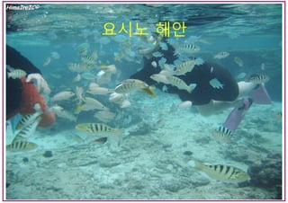 스나야마
해수욕장
요시노 해안
 