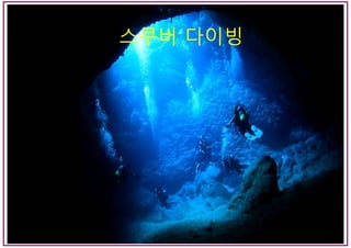 스쿠버 다이빙
 