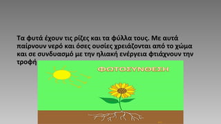 Τα φυτά έχουν τις ρίζες και τα φύλλα τους. Με αυτά
παίρνουν νερό και όσες ουσίες χρειάζονται από το χώμα
και σε συνδυασμό με την ηλιακή ενέργεια φτιάχνουν την
τροφή τους.
 