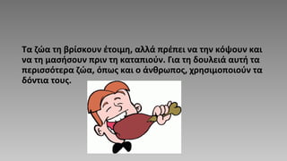 Τα ζώα τη βρίσκουν έτοιμη, αλλά πρέπει να την κόψουν και
να τη μασήσουν πριν τη καταπιούν. Για τη δουλειά αυτή τα
περισσότερα ζώα, όπως και ο άνθρωπος, χρησιμοποιούν τα
δόντια τους.
 