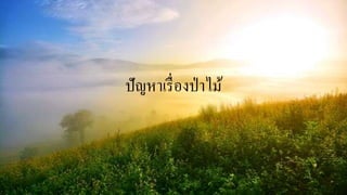 ปัญหาเรื่องป่าไม้
 