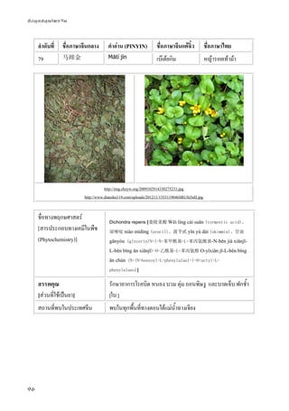 ข้อมูลสมุนไพรจีน
96
ลําดับที่ ชื่อภาษาจีนกลาง คําอ่าน (PINYIN) ชื่อภาษาจีนแต้จิ๋ว ชื่อภาษาไทย
79 马蹄金 Mǎtí jīn เบ๊เต้ยกิม หญ้ารอยเท้าม้า
http://img.zhzyw.org/2009102914330275233.jpg
http://www.dianshu119.com/uploads/201211/1353119046SRUfu5nH.jpg
ชื่อทางพฤกษศาสตร์
[สารประกอบทางเคมีในพืช
(Phytochemistry)]
Dichondra repens [委陵菜酸 Wěi líng cài suān (tormentic acid)、
尿嘧啶 niào mìdìng (uracil)、茵芋甙 yīn yù dài (skimmin)、甘油
gānyóu (glycerin)N-(-N-苯甲酰基-L-苯丙氨酰基-N-běn jiǎ xiānjī-
L-běn bǐng ān xiānjī)-O-乙酰基-L-苯丙氨醇 O-yǐxiān jī-L-běn bǐng
ān chún (N-(N-benzoyl-L-phenylalanl-)-O-actyl-L-
phenylalano)]
สรรพคุณ
[ส่วนที่ใช้เป็นยา]
รักษาอาการโรคบิด หนอง บวม ตุ่ม ถอนพิษงู และบาดเจ็บ ฟกช้ํา
[ใบ ]
สถานที่พบในประเทศจีน พบในทุกพื้นที่ทางตอนใต้แม่น้ําฉางเจียง
 