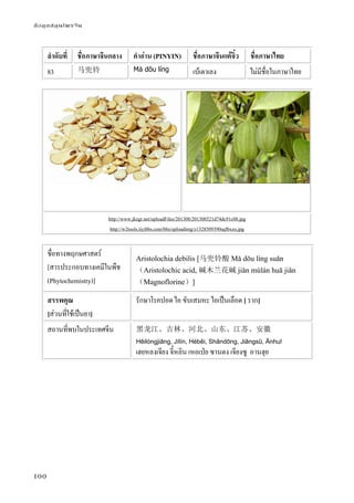 ข้อมูลสมุนไพรจีน
100
ลําดับที่ ชื่อภาษาจีนกลาง คําอ่าน (PINYIN) ชื่อภาษาจีนแต้จิ๋ว ชื่อภาษาไทย
83 马兜铃 Mǎ dōu líng เบ้เตาเลง ไม่มีชื่อในภาษาไทย
http://www.jkzgr.net/uploadFiles/201308/201308521d74dc91c08.jpg
http://w2tools.iiyibbs.com/bbs/uploadimg/z1328509390sqfbxzo.jpg
ชื่อทางพฤกษศาสตร์
[สารประกอบทางเคมีในพืช
(Phytochemistry)]
Aristolochia debilis [马兜铃酸 Mǎ dōu líng suān
（Aristolochic acid, 碱木兰花碱 jiǎn mùlán huā jiǎn
（Magnoflorine）]
สรรพคุณ
[ส่วนที่ใช้เป็นยา]
รักษาโรคปอด ไอ ขับเสมหะ ไอเป็นเลือด [ ราก]
สถานที่พบในประเทศจีน 黑龙江、吉林、河北、山东、江苏、安徽
Hēilóngjiāng, Jílín, Héběi, Shāndōng, Jiāngsū, Ānhuī
เฮยหลงเจียง จี๋หลิน เหอเป่ย ซานตง เจียงซู อานฮุย
 