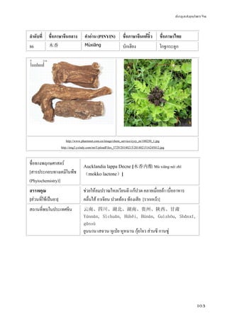 ข้อมูลสมุนไพรจีน
103
ลําดับที่ ชื่อภาษาจีนกลาง คําอ่าน (PINYIN) ชื่อภาษาจีนแต้จิ๋ว ชื่อภาษาไทย
86 木香 Mùxiāng บักเฮียง โกฐกระดูก
http://www.pharmnet.com.cn/image/chem_service/cyzy_m/100250_1.jpg
http://img3.yxlady.com/mt/UploadFiles_5729/20140215/2014021516245012.jpg
ชื่อทางพฤกษศาสตร์
[สารประกอบทางเคมีในพืช
(Phytochemistry)]
Aucklandia lappa Decne [木香内酯 Mù xiāng nèi zhǐ
（mokko lactone）]
สรรพคุณ
[ส่วนที่ใช้เป็นยา]
ช่วยให้ลมปราณไหลเวียนดี แก้ปวด คลายเมื่อยล้า เบื่ออาหาร
คลื่นไส้ อาเจียน ปวดท้อง ท้องเสีย [รากเหง้า]
สถานที่พบในประเทศจีน 云南、四川、湖北、湖南、贵州、陕西、甘肃
Yúnnán, Sìchuān, Húběi, Húnán, Guìzhōu, Shǎnxī,
gānsù
ยูนนาน เสฉวน หูเป่ย หูหนาน กุ้ยโจว ส่านซี กานซู่
 