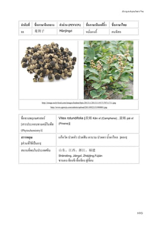 ข้อมูลสมุนไพรจีน
105
ลําดับที่ ชื่อภาษาจีนกลาง คําอ่าน (PINYIN) ชื่อภาษาจีนแต้จิ๋ว ชื่อภาษาไทย
88 蔓荆子 Mànjīngzi หมั่งเกงกี้ คนทีสอ
http://image.tech-food.com/images/kndata/bpic/201311/2013111917170711711.jpg
http://www.qpswjs.com/admin/upload/20118922131980001.jpg
ชื่อทางพฤกษศาสตร์
[สารประกอบทางเคมีในพืช
(Phytochemistry)]
Vitex rotundifolia [莰烯 Kǎn xī (Camphene) , 蒎烯 pài xī
(Pinene)]
สรรพคุณ
[ส่วนที่ใช้เป็นยา]
แก้หวัด ปวดหัว ปวดฟัน ตาบวม ปวดตา น้ําตาไหล [ดอก]
สถานที่พบในประเทศจีน 山东、江西、浙江、福建
Shāndōng, Jiāngxī, Zhèjiāng,Fújiàn
ซานตง เจียงซี เจื้อเจียง ฝูเจี้ยน
 